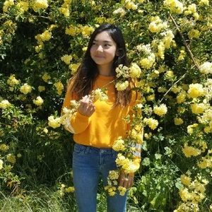 forever 21 cropped sweater